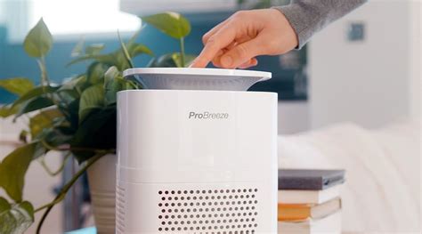 A Comprehensive Guide to Air Purifiers for Mold and Mildew Prevention