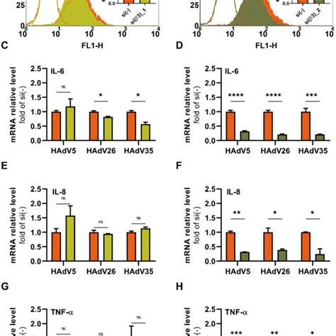 Primer Sequences For Qpcr Analysis Of Il 6 Il 8 Il 1β And Tnf α Gene