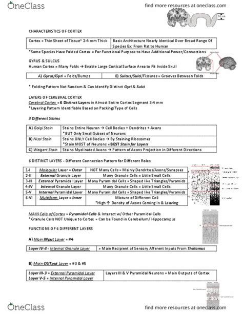 Anat Lecture Notes Fall Lecture Microprocessor