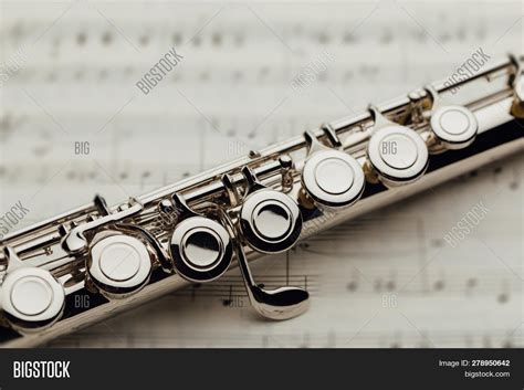 Transverse Flute On Image & Photo (Free Trial) | Bigstock