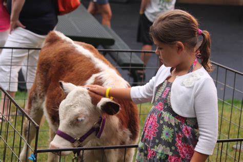 Petting Zoo Woodloch Resort