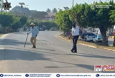 Policía Vial Estatal on Twitter ElPeatónEsPrimero Respetelo