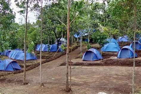 Best Tents And Trekking Camps In Kerala Experience Kerala