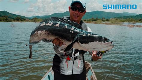 Shimano Expride Slx Dc Xt Snakehead Fishing With Pro Staff Kik