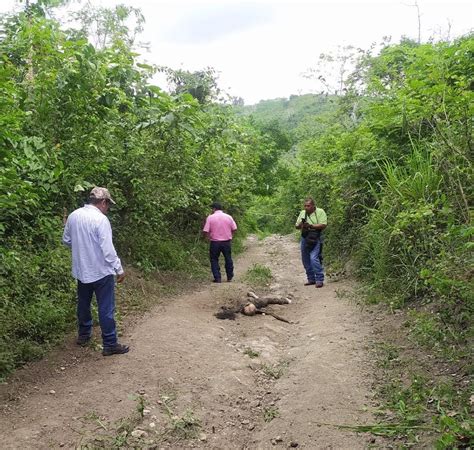 El Heraldo De Xalapa Hallan Cuerpo Putrefacto De Desaparecida