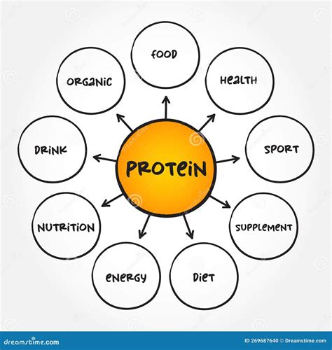 Protein Are Large Biomolecule And Macromolecule That Comprise One Or