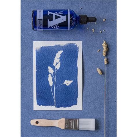 Botanopia Coffret Cyanotype 1 Kit Bloomling France