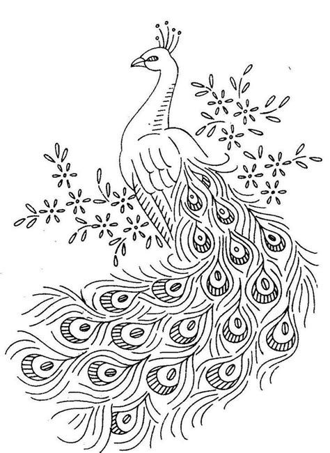 Peacock Coloring Pages