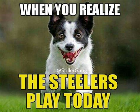 Pin by Ashley Gotcher on steelers memes | Pittsburgh steelers football ...