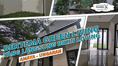 BERTEMA GREEN LIVING YANG BIKIN LANGSUNG JATUNH CINTA FRESIA AMAYA