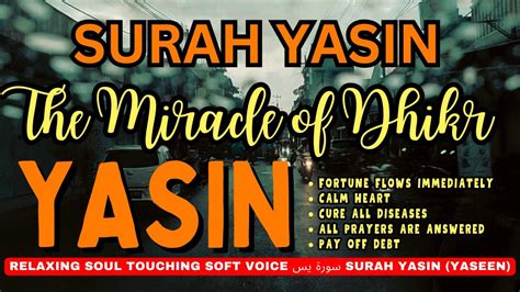 Surah Yasin Yaseen Relaxing Quran Recitation Beautiful Soft