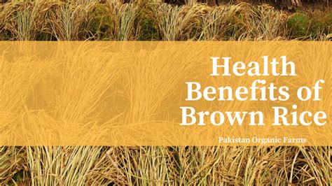 Health Benefits Of Organic Brown Rice Usda And Eu Certified