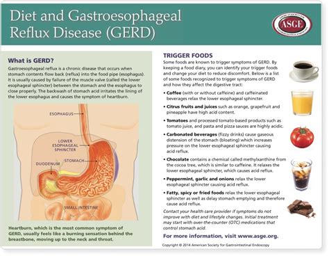 What Is The Difference Between Acid Reflux Ger And Gerd