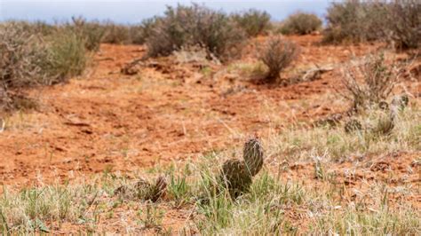 The Best One Day In Arches National Park With Map