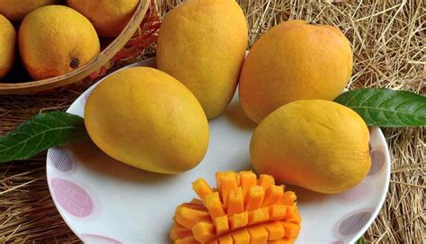 6 Reasons Why Mangoes Are Great For Your Health Lifeberrys