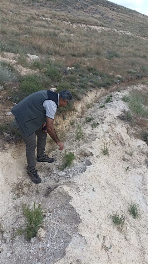 Haber Batman Hasankeyf Toprak Muhafaza ve Erozyon Kontrol Sahası