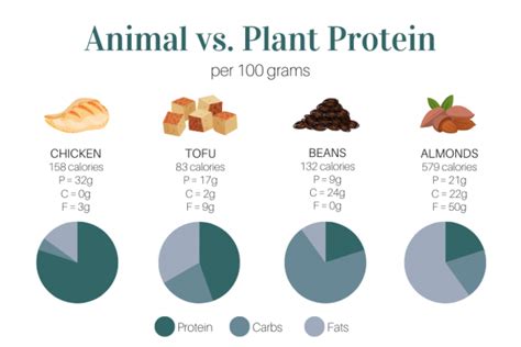 Plant Protein Vs Animal Protein Whats The Difference Kay Nutrition