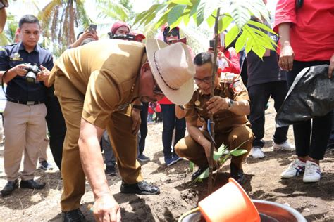 Gubernur Maluku Instruksikan Galakkan Tanam Sukun Sebagai Pangan Lokal