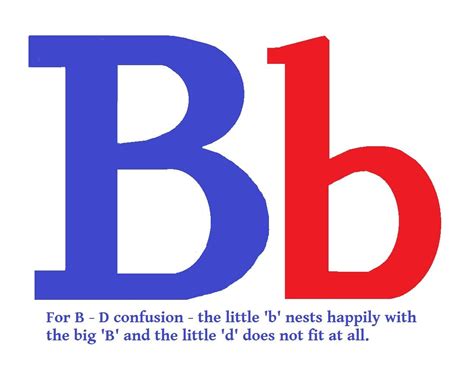 The little 'b' nests easily in the big 'B' while the little 'd' does not fit at all. B - D ...