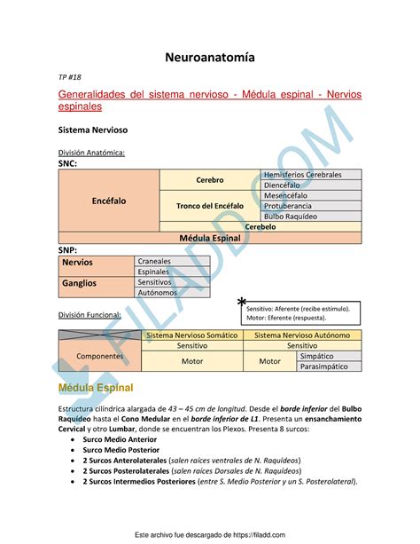 Neuro Resumen Garcas TP18 Neuroanatomía TP Generalidades del sistema