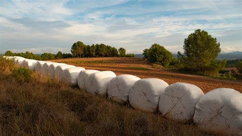 Agriculture Campagne R Colter Photo Gratuite Sur Pixabay Pixabay