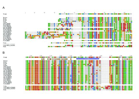 Figure S Clustal W Multiple Sequence Alignment Of Rpb Proteins A