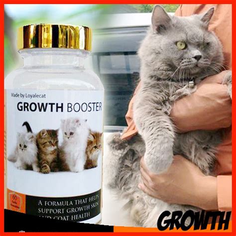 Vitamin Kucing Gemuk And Gebu Kucing Anda Cat Vitamin Cat Booster