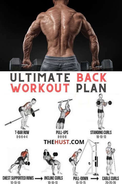 Sırt Press Workout Plan Back Workout Routine Back Workout