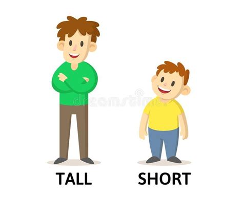 Words Tall And Short Flashcard With Cartoon Characters Opposite Adjectives Explanation Card