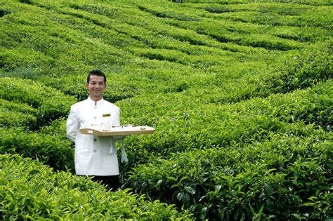 Cameron Highlands Resort Luxury Hotel In Pahang Malaysia Small