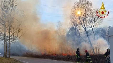 Misinto Incendio Al Parco Delle Groane Le Fiamme Alimentate Dal Vento