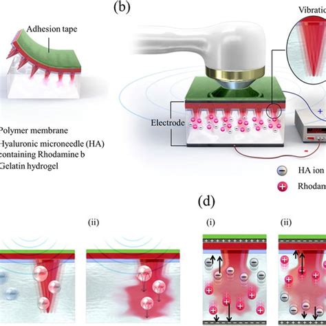 A Ha Microneedle Array Mold Fabrication Process I Pouring Of Pdms