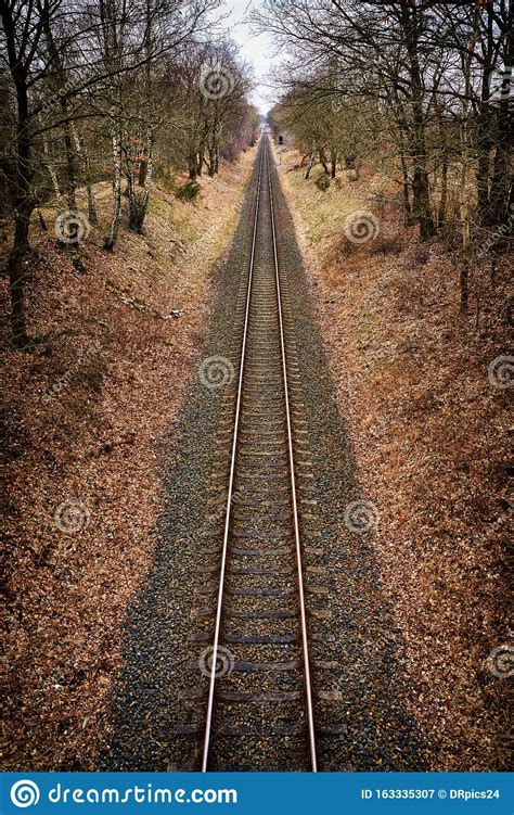 Eisenbahngleise Im Wald Stockbild Bild Von Land Himmel 163335307