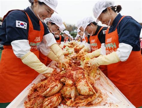 3년만의 김치의 날 김장2만5000포기의 행복 나눠요 머니투데이