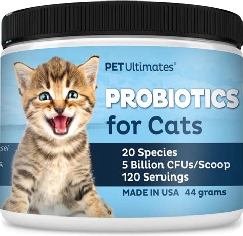 5 Best Probiotics For Cats The Purr Fect Health