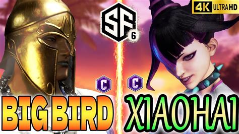 スト6BigBird マリーザ vs Xiaohai ジュリ ストリートファイター6 YouTube