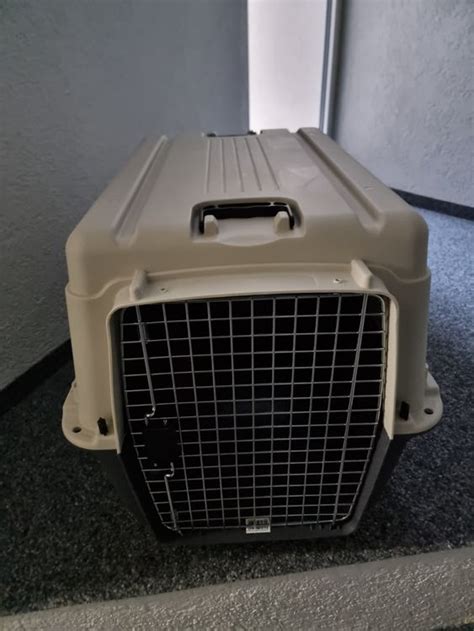 Hunde Transportbox Kaufen Auf Ricardo