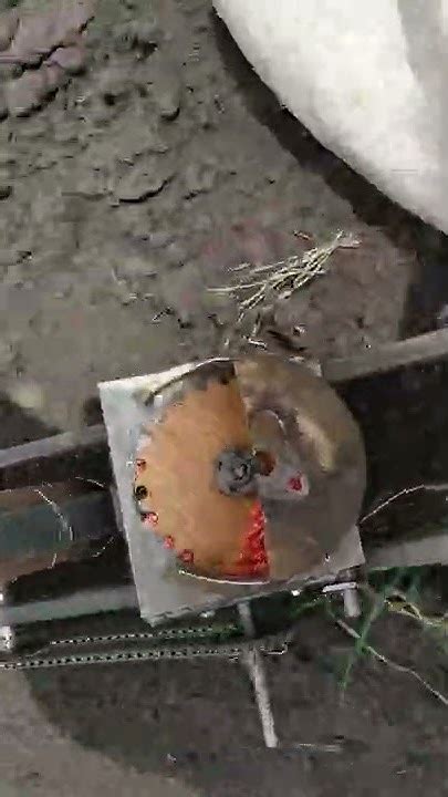 сеялка кукурузная ручная - YouTube