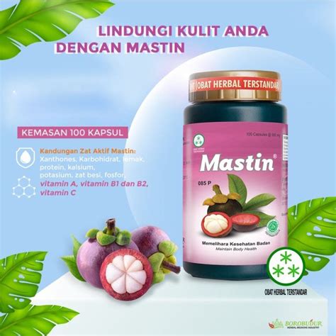 Jual Mastin Kapsul Borobudur Kapsul Ekstrak Kulit Manggis