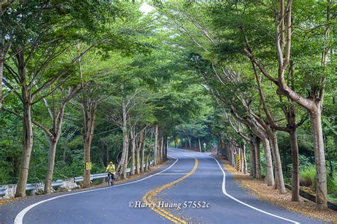 Harry57552c騎自行車騎腳踏車運動休閒公路彰化八卦山台地139縣道馬路道路景觀公路 Flickr