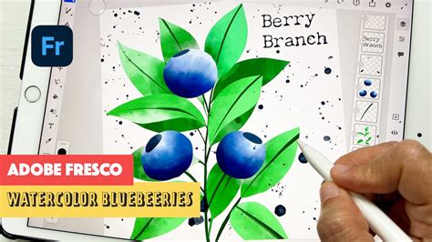 Adobe Fresco Tutorial Easy Watercolor Blueberry Branch Print Me