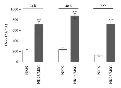 Msc Exert A Dose Dependent Activating Effect On Ifn γ Secretion By Nk92 Download Scientific