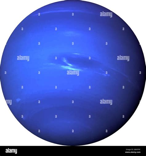 Planet Neptune Isolated On White Background Realistic Vector Stock