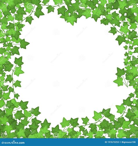 Ivy Green Leaves Frame Or Border Vector Stock Vector Illustration Of