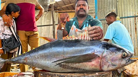 Kasimedu Speed Selvam 25 Kg Giant Yellow Fin Tuna Fish Cutting Video