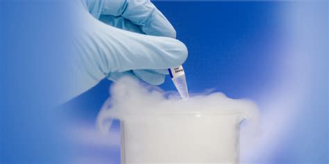 Oocyte Cryopreservation: Freezing Eggs for the Future | Nisha IVF Centre