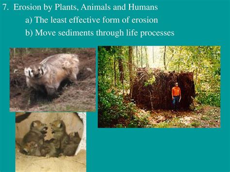 Chapter Weathering Erosion And Soil Ppt Download