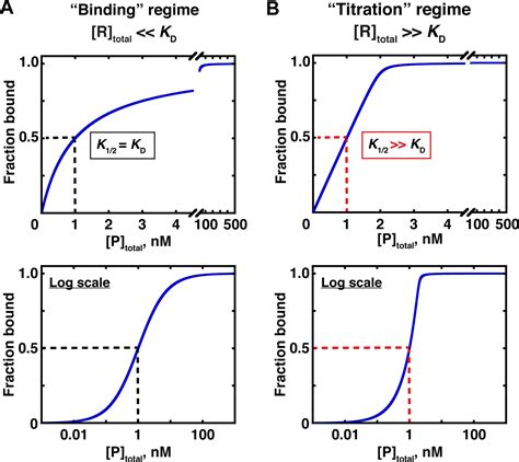 How To Measure And Evaluate Binding Affinities Elife