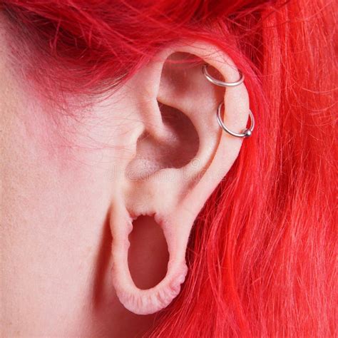 Stretched Ear Lobe Piercing Stock Image Image Of Helix Tunnel 34781399