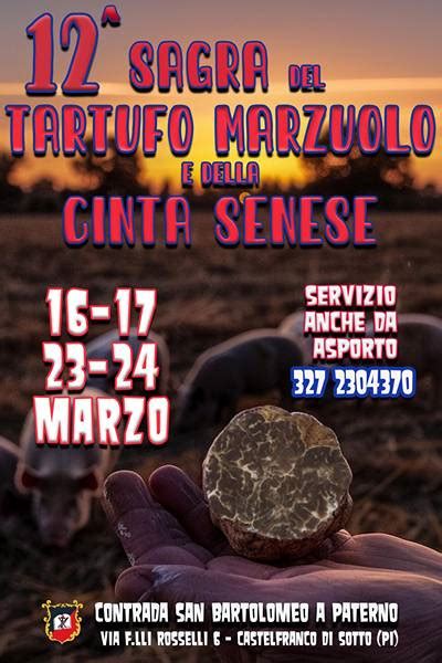 Sagra Del Tartufo Marzuolo E Della Cinta Senese A Castelfranco Di Sotto